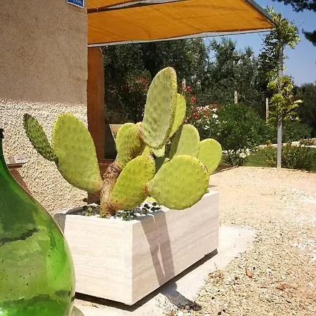 Bed & Breakfast Sogno Salentino Lizzano (Apulia)