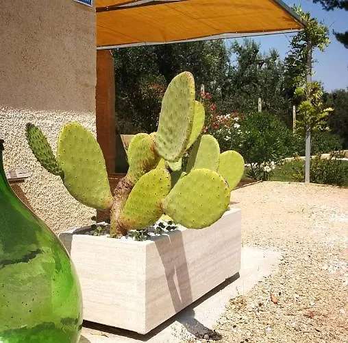 Bed & Breakfast Sogno Salentino Lizzano (Apulia)