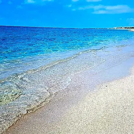 Sogno Salentino Lizzano (Apulia)